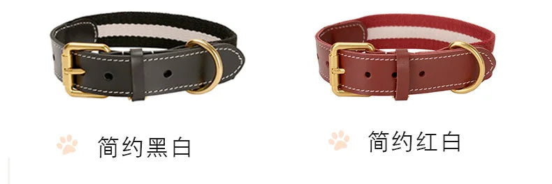 Nuevo collar de color mejorado de alta calidad para perros grandes, pastor alemán, paseo para perros, cadena P, mascota ajustable para perros medianos y grandes, accesorios