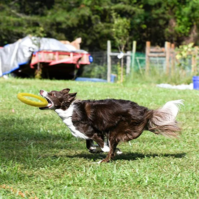 Discos voladores para mascotas, anillo de entrenamiento, extractor, juguetes para perros grandes, resistente a mordeduras, pelota para masticar, juguete flotante para cachorros, suministro interactivo