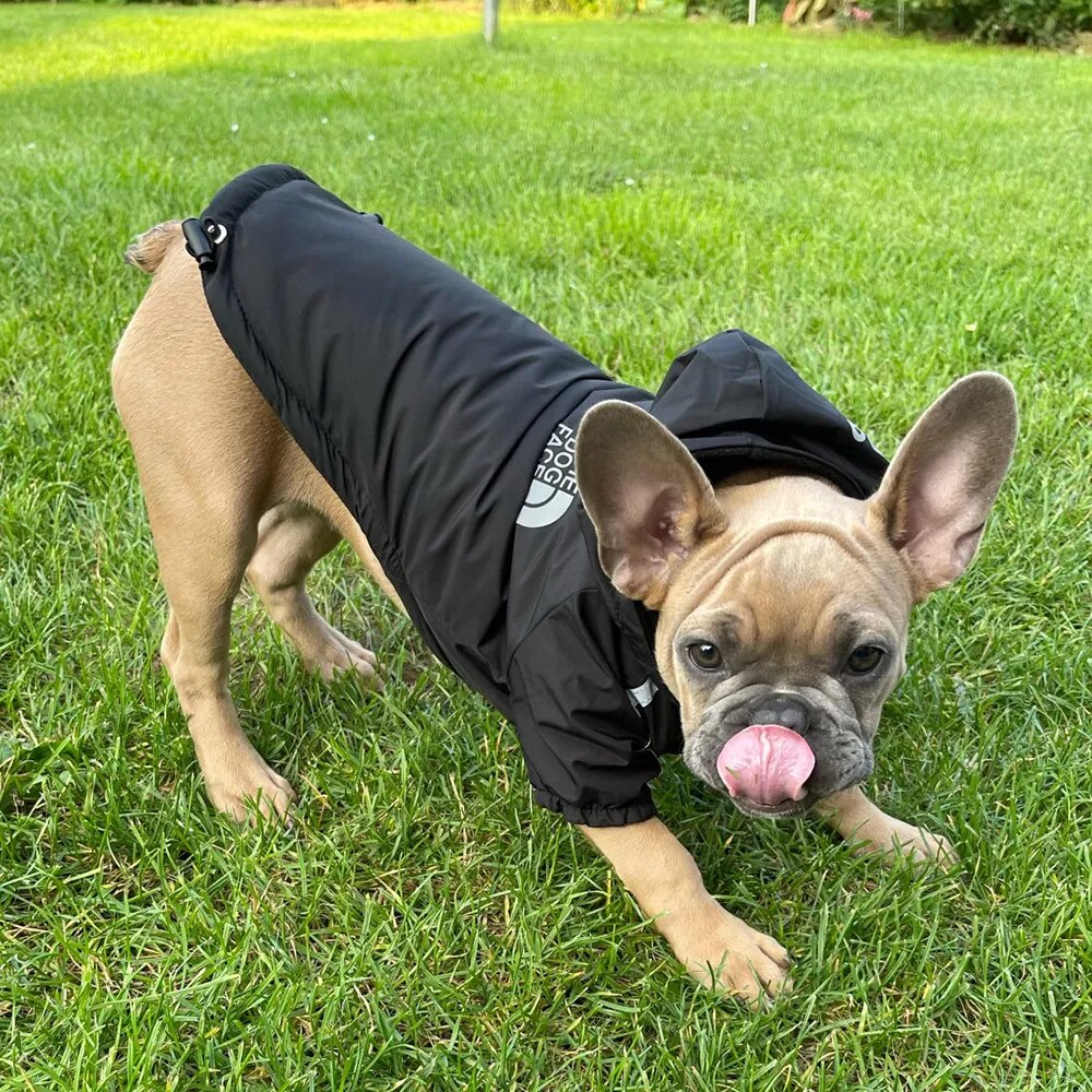 Otoño Invierno perro mascota impermeable abrigo cálido chaqueta con capucha de algodón la cara del perro perros pequeños gato reflectante ropa para mascotas abrigo de invierno