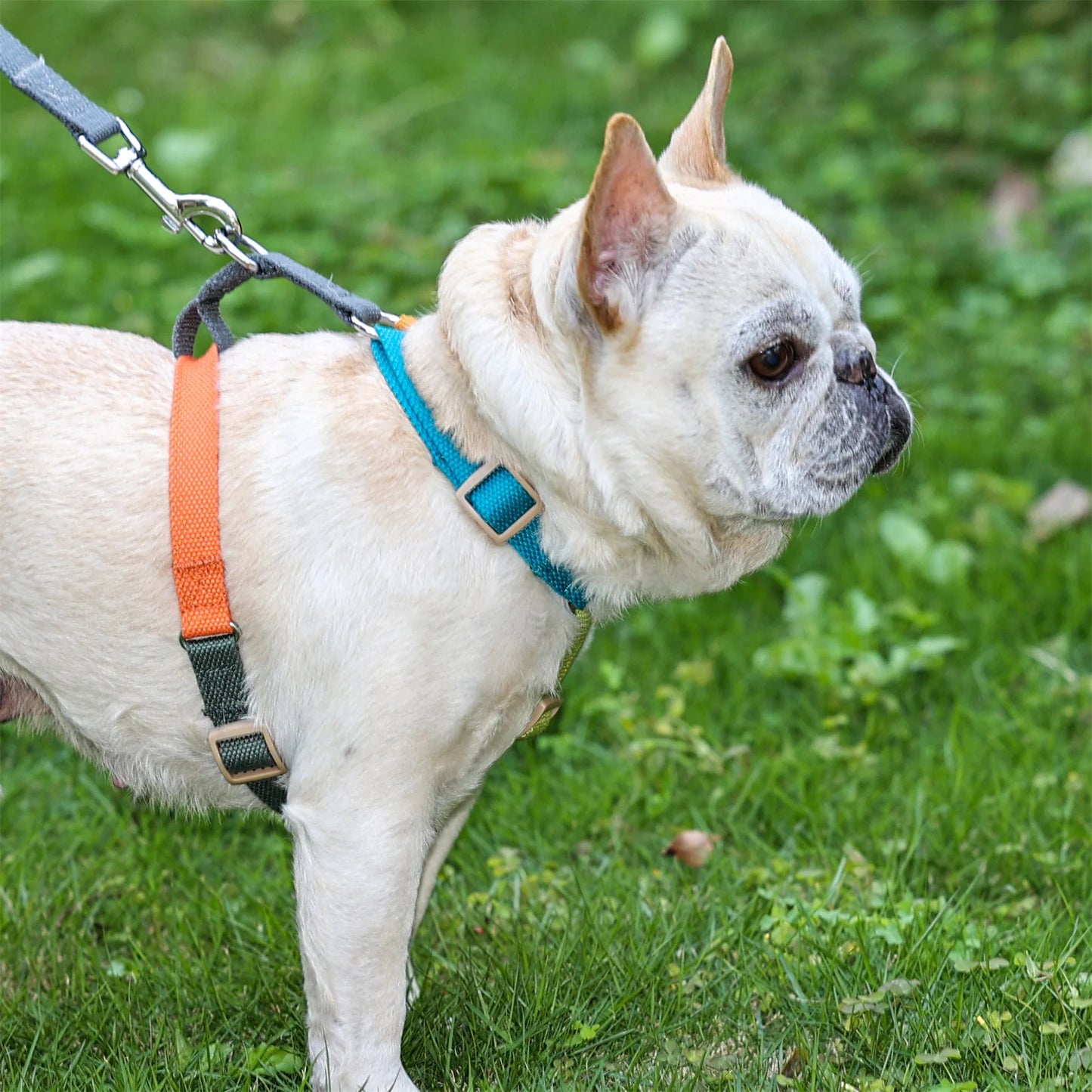 Arnés para perros sin tirones para perros medianos y grandes, correas de algodón, arnés transpirable para perros, arnés ajustable fácil para caminar para mascotas, accesorios de entrenamiento