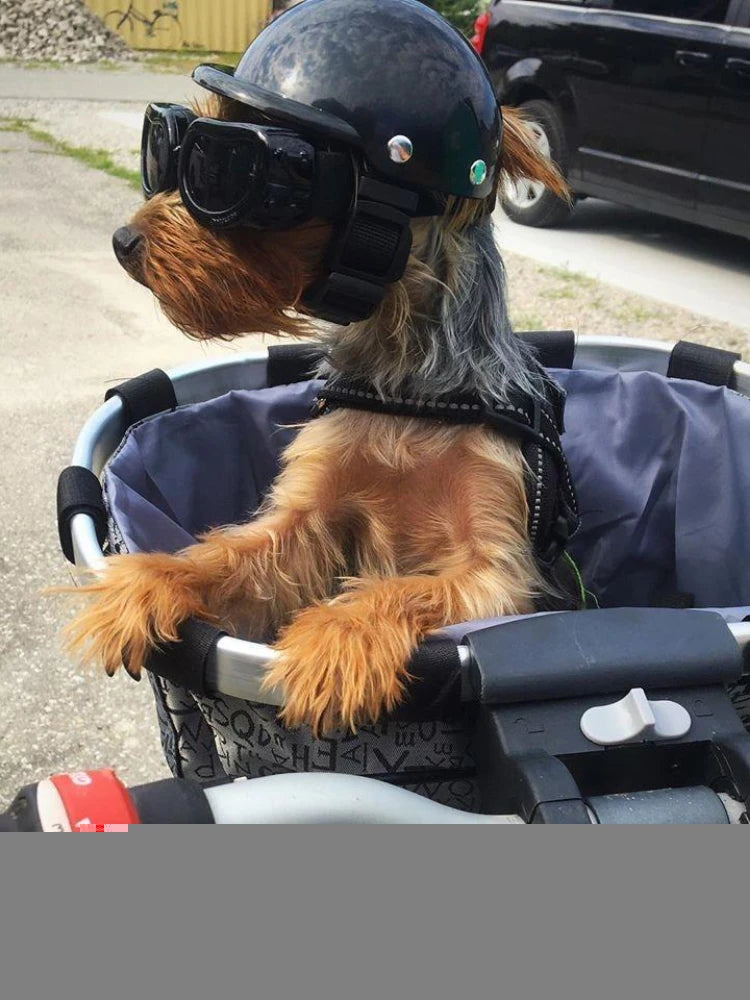 Casco de motocicleta para perros y gatos pequeños, sombrero para mascotas de estilo moderno, tocados, accesorios para perros, nuevo