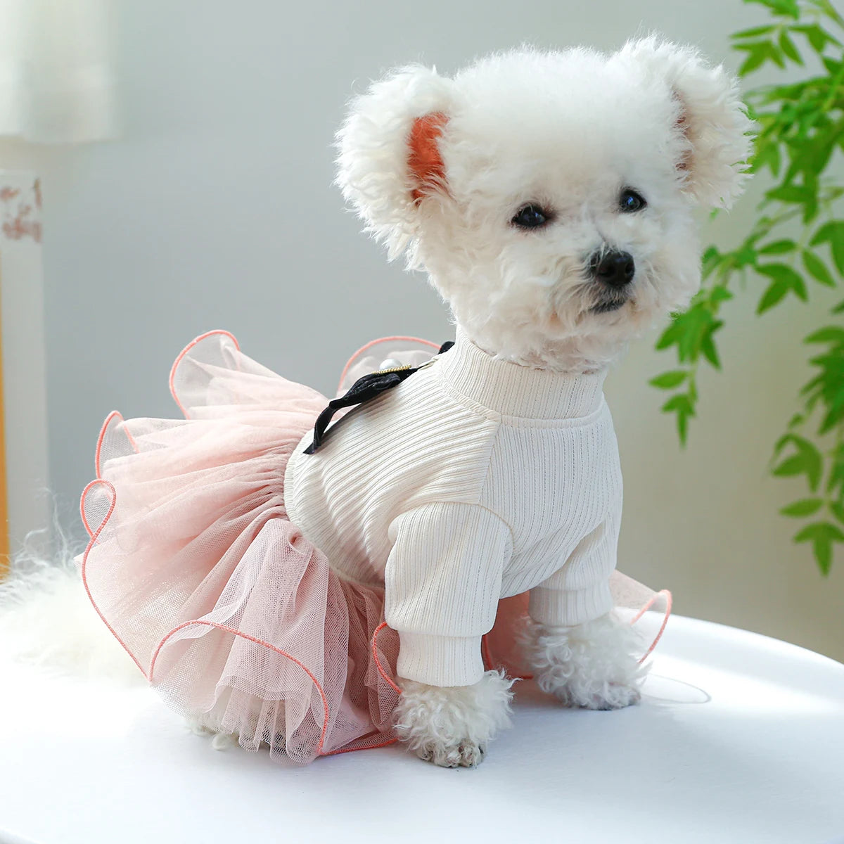 Vêtements pour animaux de compagnie, 1 pièce, robe de princesse Appa pour chien, jupe moelleuse rose avec boucle pour corde de remorquage, pour petits et moyens chiens, printemps-automne