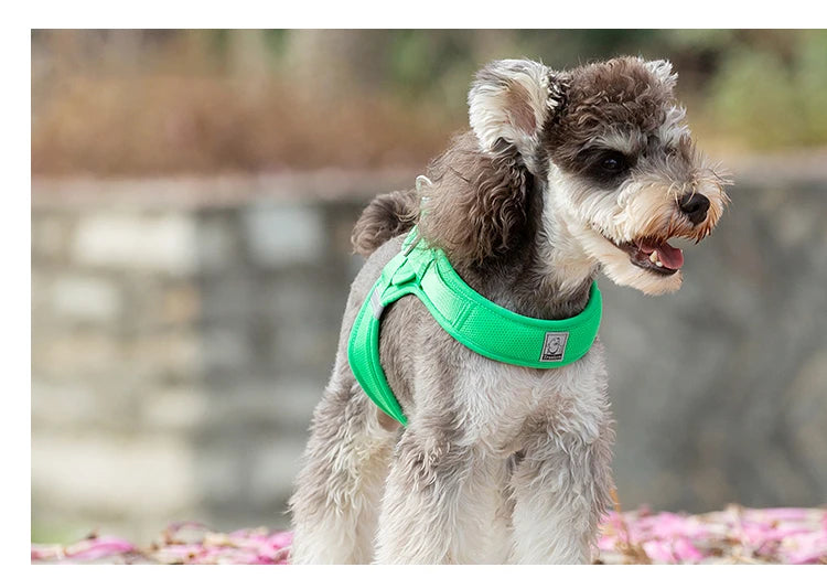 Portabebés para perros pequeños, hebilla en D de aluminio, gancho para caminar y bucle, accesorios portátiles para ponerse y quitarse