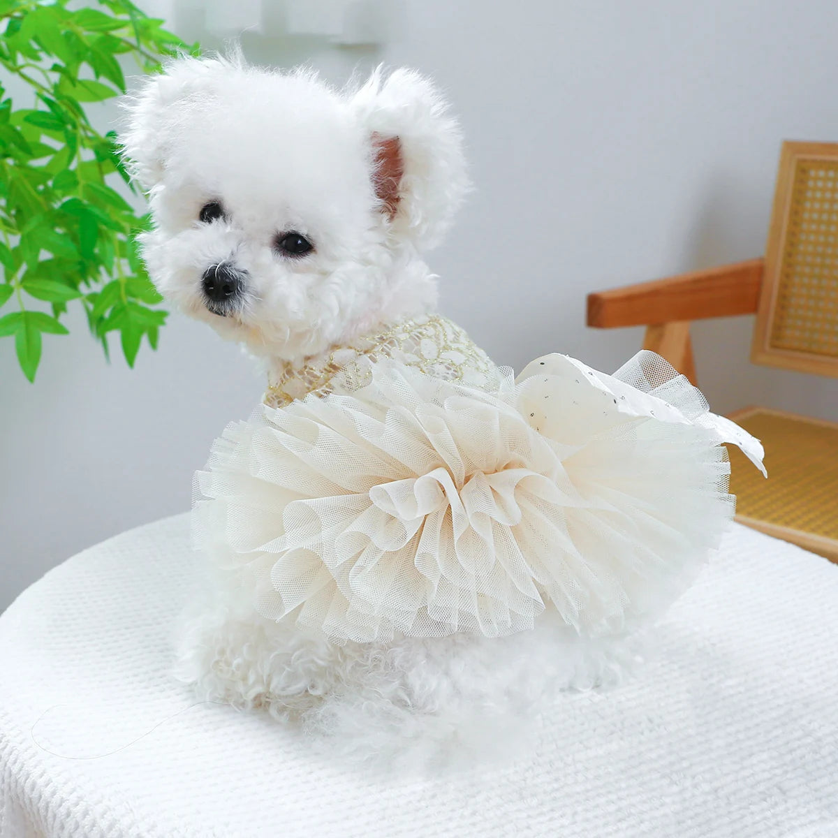 Ropa para mascotas, vestido de boda blanco para primavera/verano, falda Pengpeng de palacio de lujo, vestido chino para perros pequeños y medianos, 1 ud.