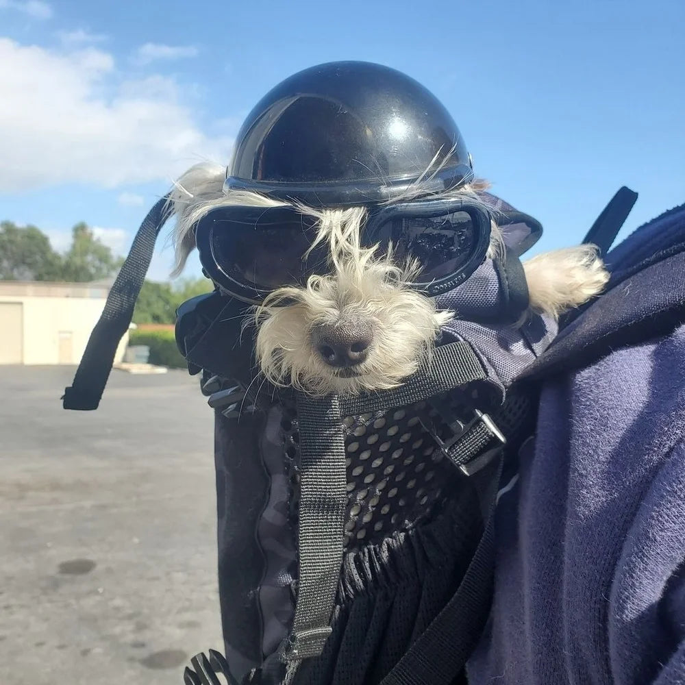 Casco de motocicleta para perros y gatos pequeños, sombrero para mascotas de estilo moderno, tocados, accesorios para perros, nuevo