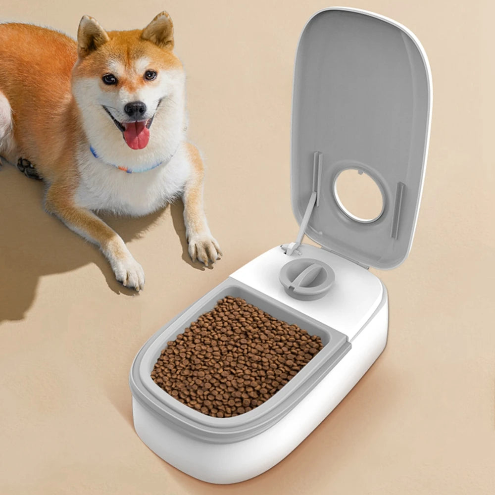 Alimentador automático para gatos, dispensador elegante de comida para gatos, dispensador de alimentos húmedos y secos, alimentador automático para gatos, cuenco para cachorros