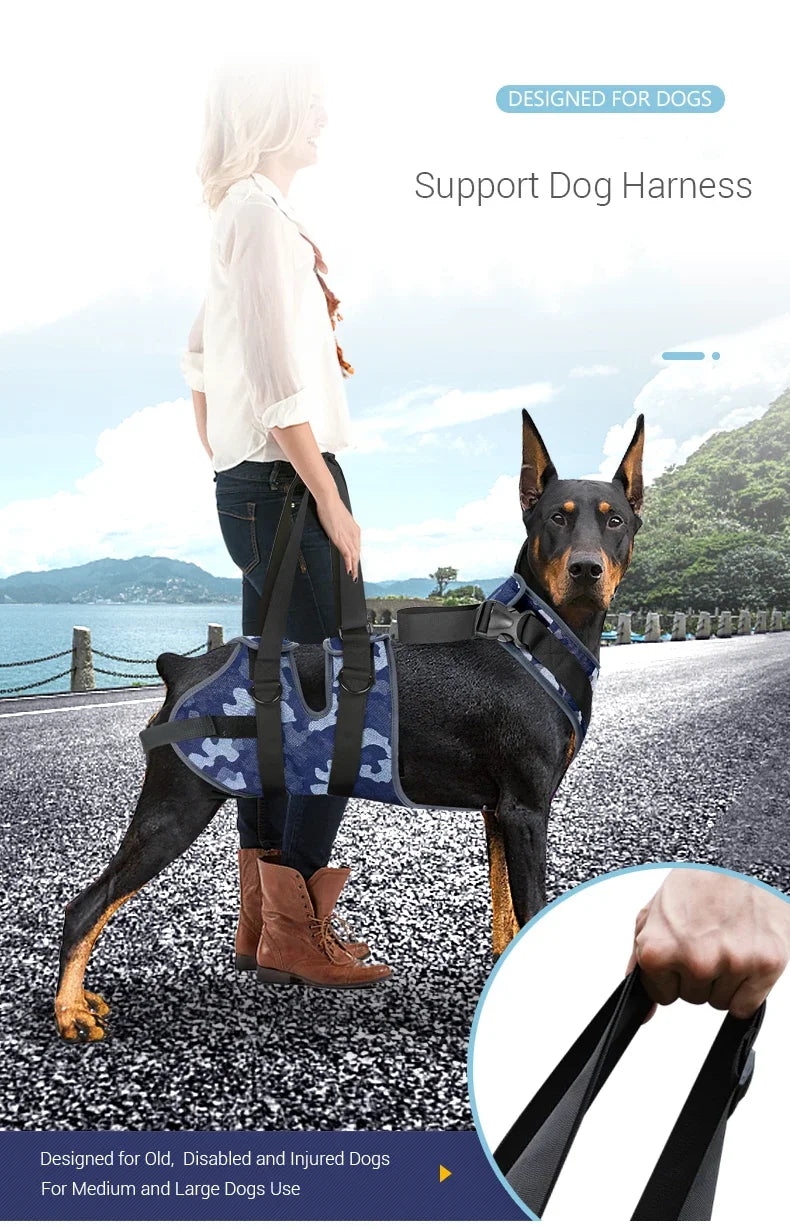 Harnais de levage réglable pour chien, pattes avant et arrière, gilet pour chien, Support de levage pour aide canine, rééducation ligamentaire, accessoires pour animaux de compagnie