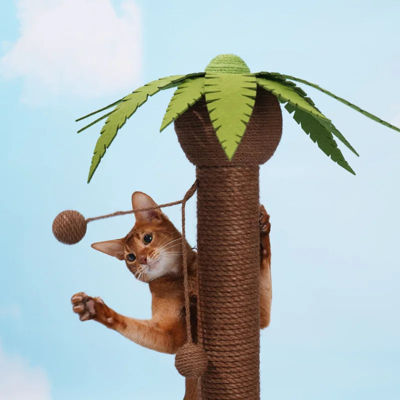 Postes rascadores para gatos, marco de escalada con forma del árbol de coco, tablero rascador para gatos de cáñamo y Sisal con bola, juguetes con forma de garras para mascotas