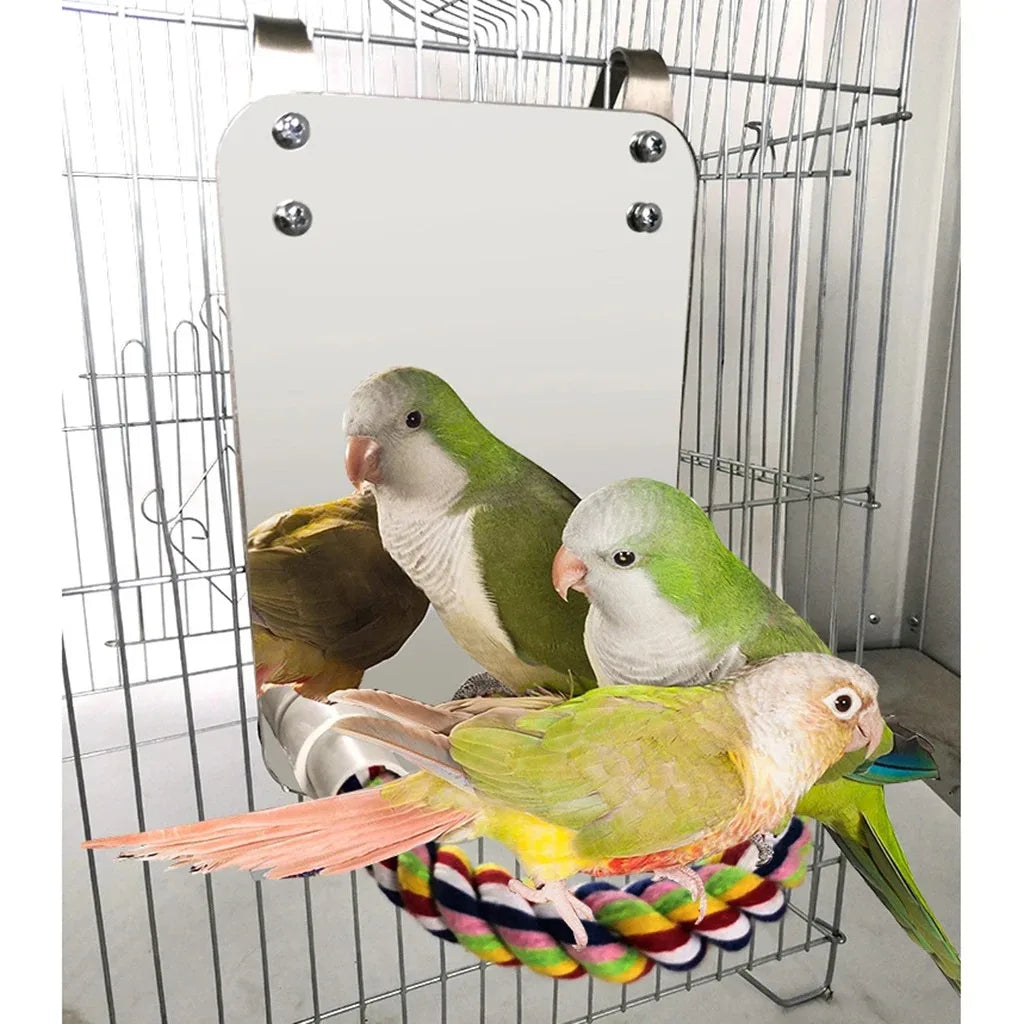 Espejo para pájaros con percha, jaula, columpio, juguete, guacamayos, pinzones, soporte de cuerda para periquito pequeño, suministros para mascotas loros