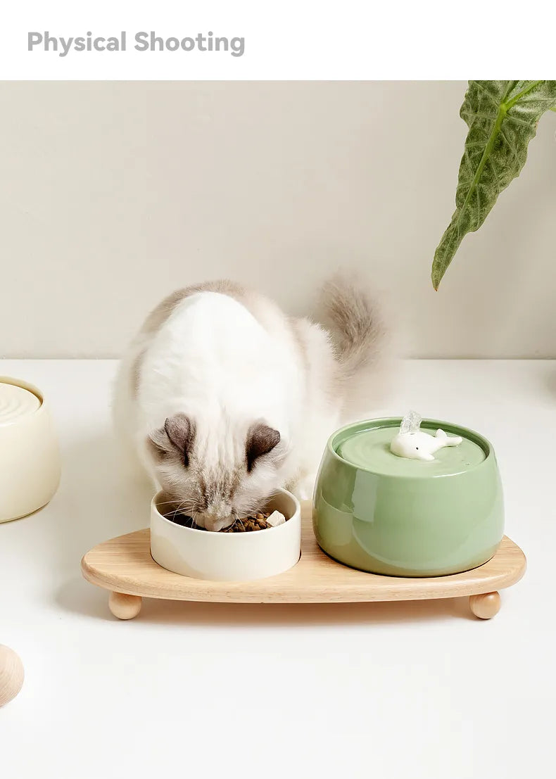 1300ml Cat Water Fountain Ceramic USB Charging Pet Drinker with Filter Small Dogs Water Dispenser with Wooden Stand Bowls