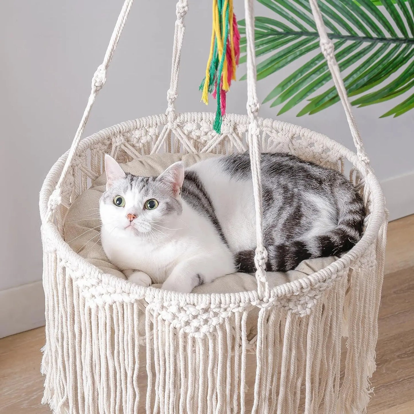 Mewoofun Macrame Cat Hammock Hanging Swing Cat Bed Basket Home Pet Cat Accessories Cat House Bed for Sleeping Playing