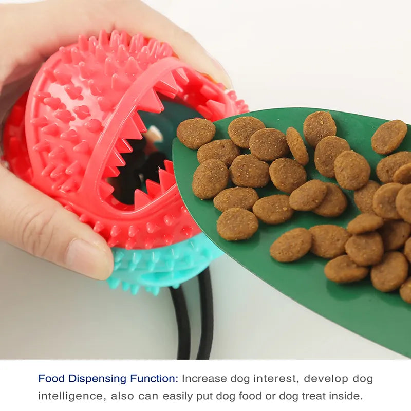 Grande balle pour chien, jouets à ventouse, cordes à fuite interactive, gamelle pour ingestion lente, jouet à mâcher, dentition propre, Golden Retriever, fournitures pour grands animaux de compagnie