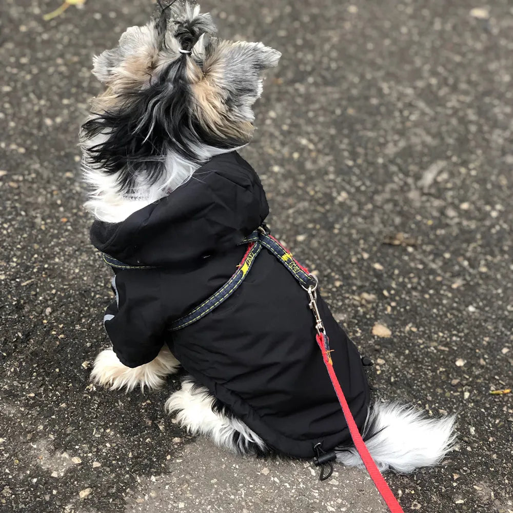 Otoño Invierno perro mascota impermeable abrigo cálido chaqueta con capucha de algodón la cara del perro perros pequeños gato reflectante ropa para mascotas abrigo de invierno