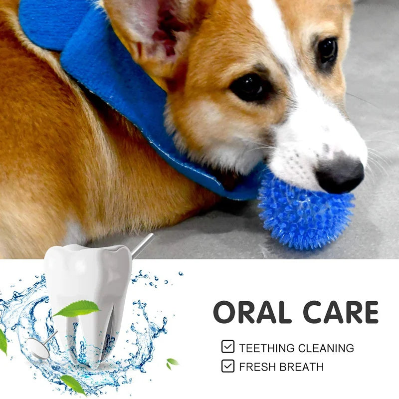 Juguetes para perros, gato, cachorro, juguete con sonido de lunares, Bola de limpieza dental chirriante, entrenamiento TPR, juguete para masticar dientes de mascotas, accesorios de bolas de espinas