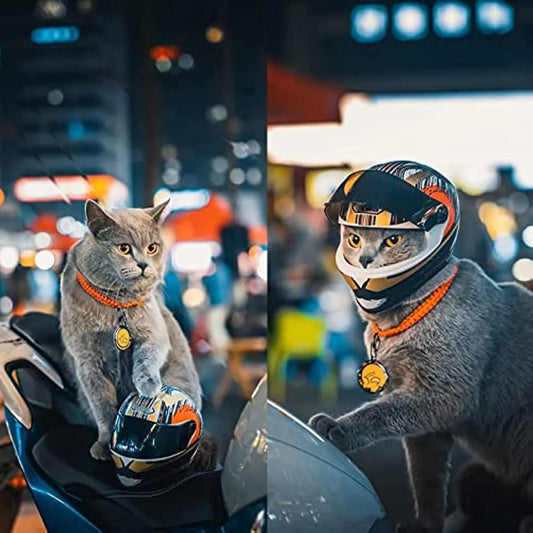 Casco integral para motocicleta para mascotas, mini cascos para perros y gatos, sombrero seguro para proteger la cabeza al aire libre, accesorios para fotos de gatos y mascotas