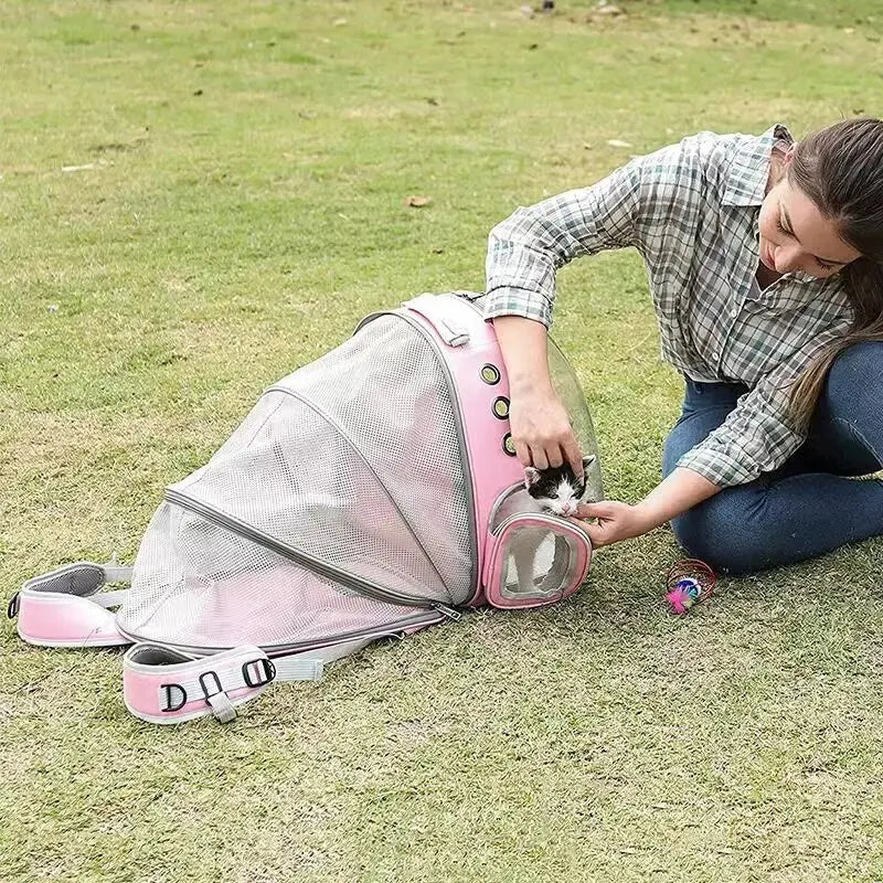 Mochila transportadora para gatos expandible, transparente, grande, mochila de viaje, cápsula espacial de burbujas, bolsa de viaje para mascotas de alta calidad