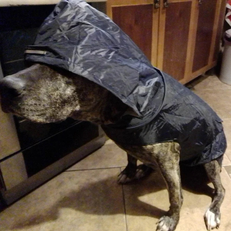 Manteau imperméable pour chien, veste à capuche imperméable, Poncho de pluie, vêtements de pluie pour animaux de compagnie avec rayures réfléchissantes, accessoires d'extérieur pour chiens