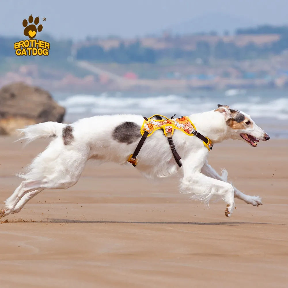 Arnés para perros, artículos para perros, chaleco de entrenamiento para caminar al aire libre, accesorios para perros, chaleco con arnés para mascota reflectante transpirable, suministros para mascotas