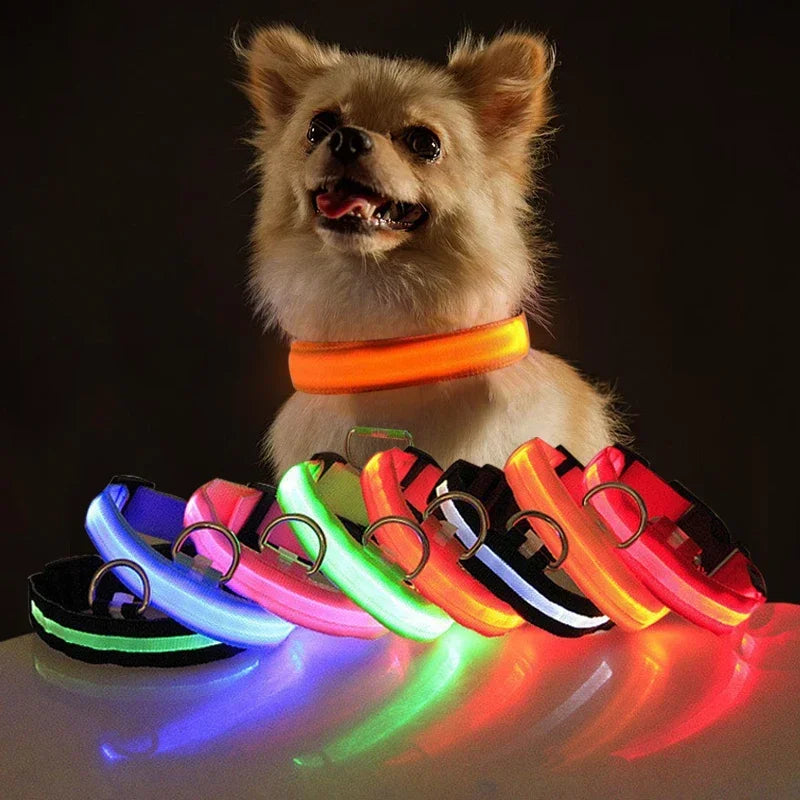 Collar de perro LED con carga USB, luz nocturna de seguridad para perros, Collar intermitente, collares fluorescentes, suministros para mascotas