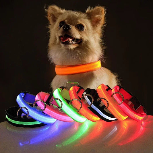 Collier LED pour chien, chargeur USB, veilleuse de sécurité pour chien, collier clignotant, colliers fluorescents, fournitures pour animaux de compagnie