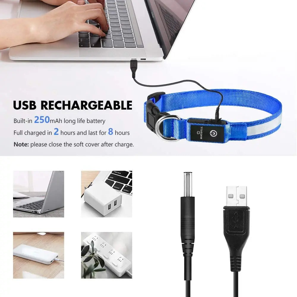 XS/M LED collier de chien USB Rechargeable éclairer collier de chien lumières réglable doux sécurité veilleuse clignotant 3 modes fournitures pour animaux de compagnie