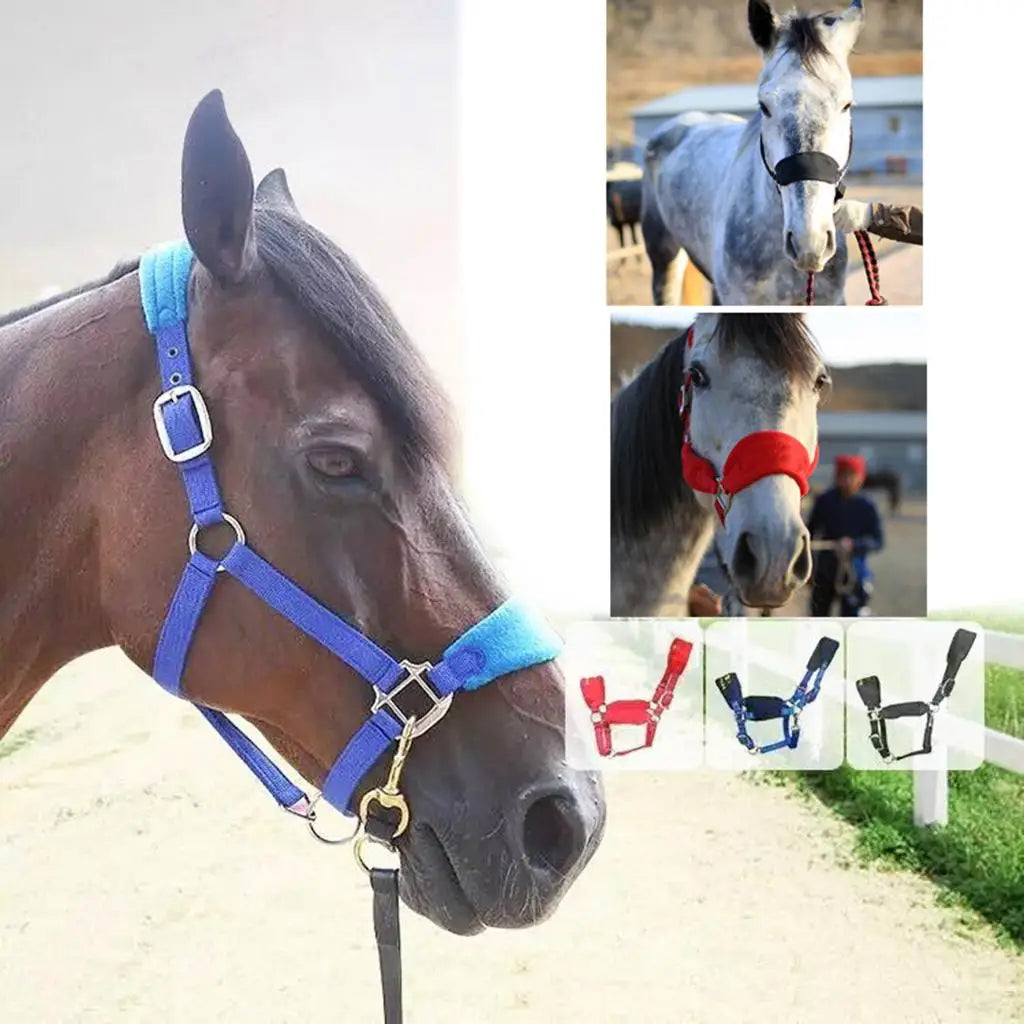 Confortable épaissir poney Cob cheval licou bride tête collier sangle équipement cheval bride tête accessoires Western