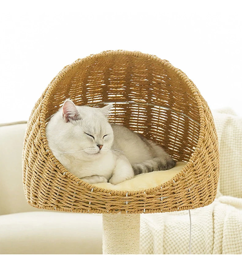 Árbol de escalada para rascar gatos, casa tejida de mimbre, trinquete de molienda para mascotas, poste rascador de Sisal, marco rascador para gatos, cama tipo nido, Juguetes