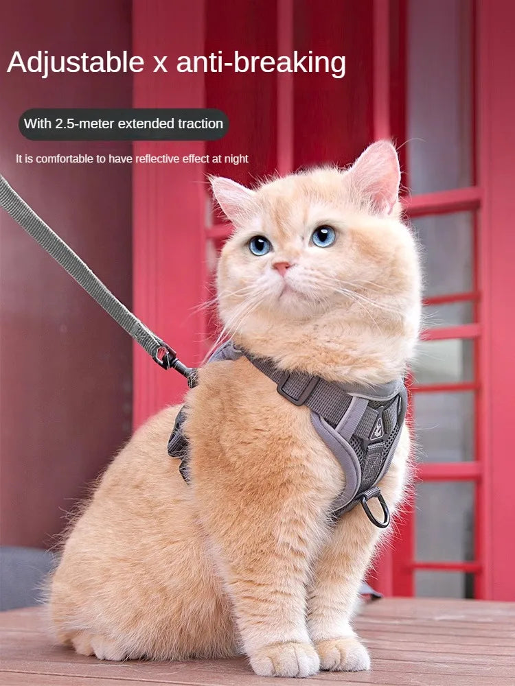 Kitten Accessories Cat Collar Collar for Cats Haulage Rope Prevent Shake Off for Walking Cats Strap Chain Adjustable Cat Walker