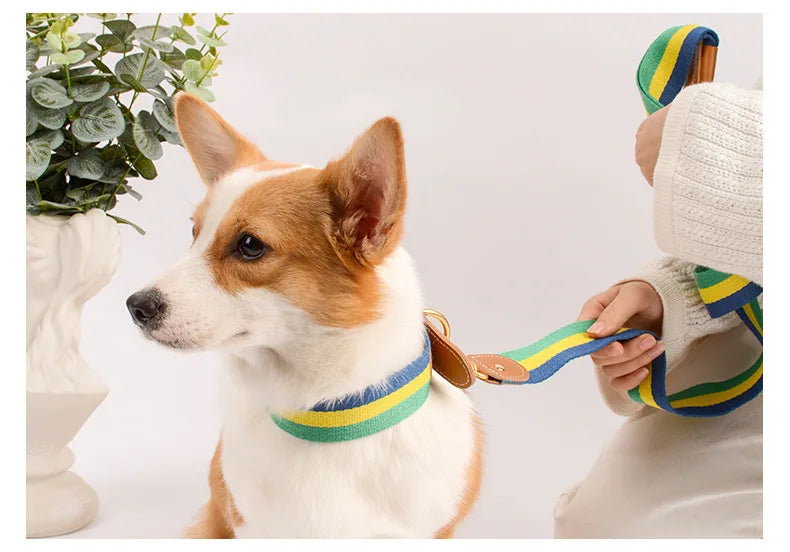 Nuevo collar de color mejorado de alta calidad para perros grandes, pastor alemán, paseo para perros, cadena P, mascota ajustable para perros medianos y grandes, accesorios