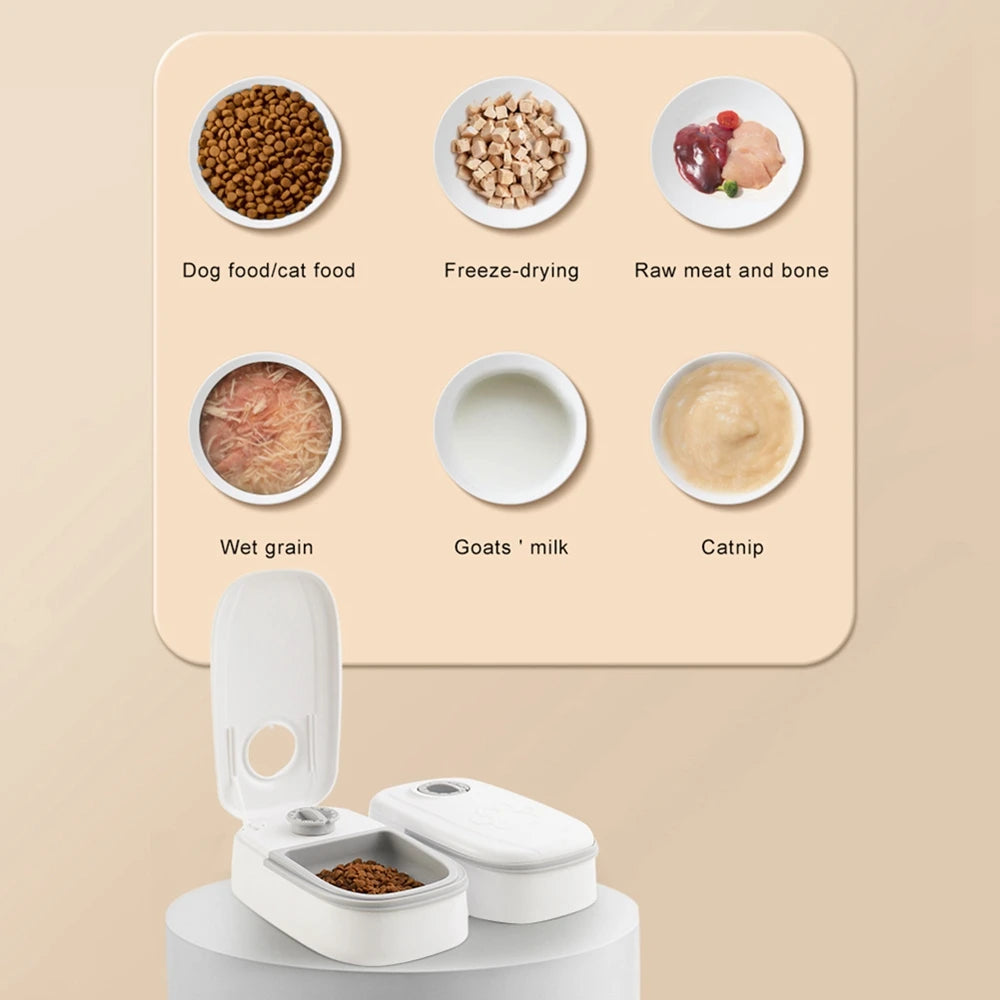 Alimentador automático para gatos, dispensador elegante de comida para gatos, dispensador de alimentos húmedos y secos, alimentador automático para gatos, cuenco para cachorros