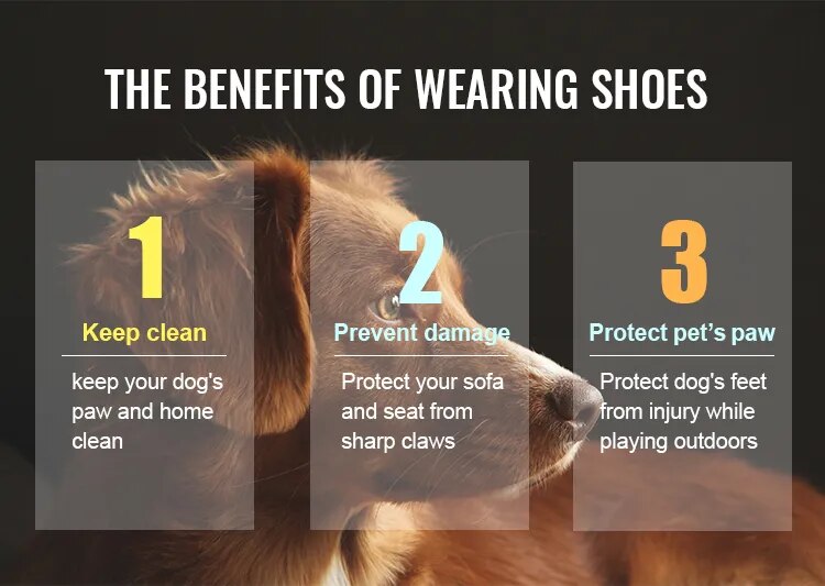 Zapatos de tela de malla para perros, botas para perros, impermeables, reflectantes, resistentes, suela antideslizante, antideslizantes, para exteriores, para perros pequeños