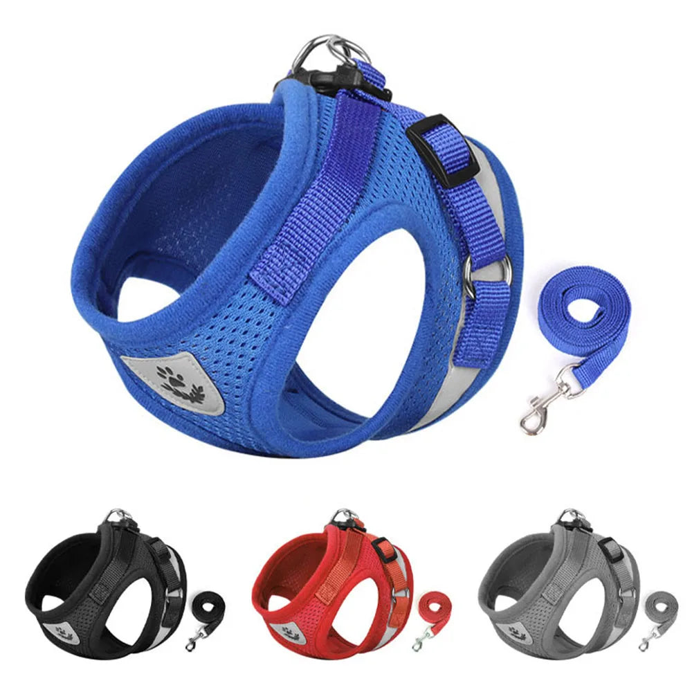 Harnais et laisse réglables et respirants pour chien et chat, gilet anti-fuite, harnais pour chiot, chien, chaton, collier réfléchissant pour chat