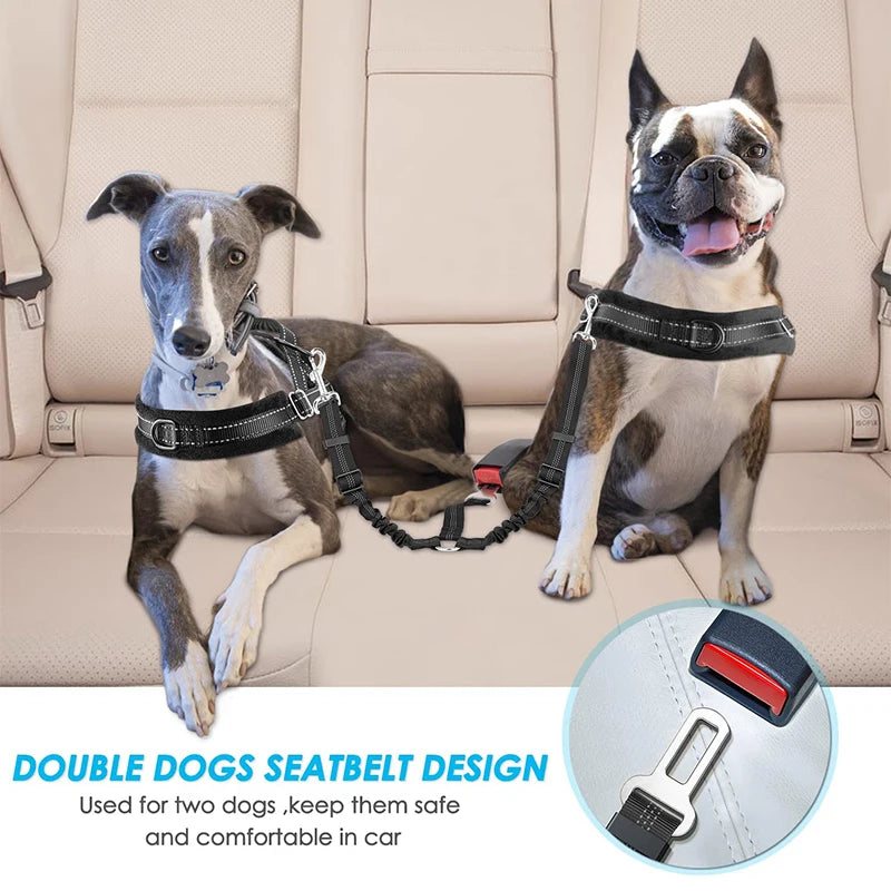 Double Dog Car Seat Belt Elasticity Extention Reflective Stripe Adjustable Vehicle Travel Accessories Safety Leash for Two Pets