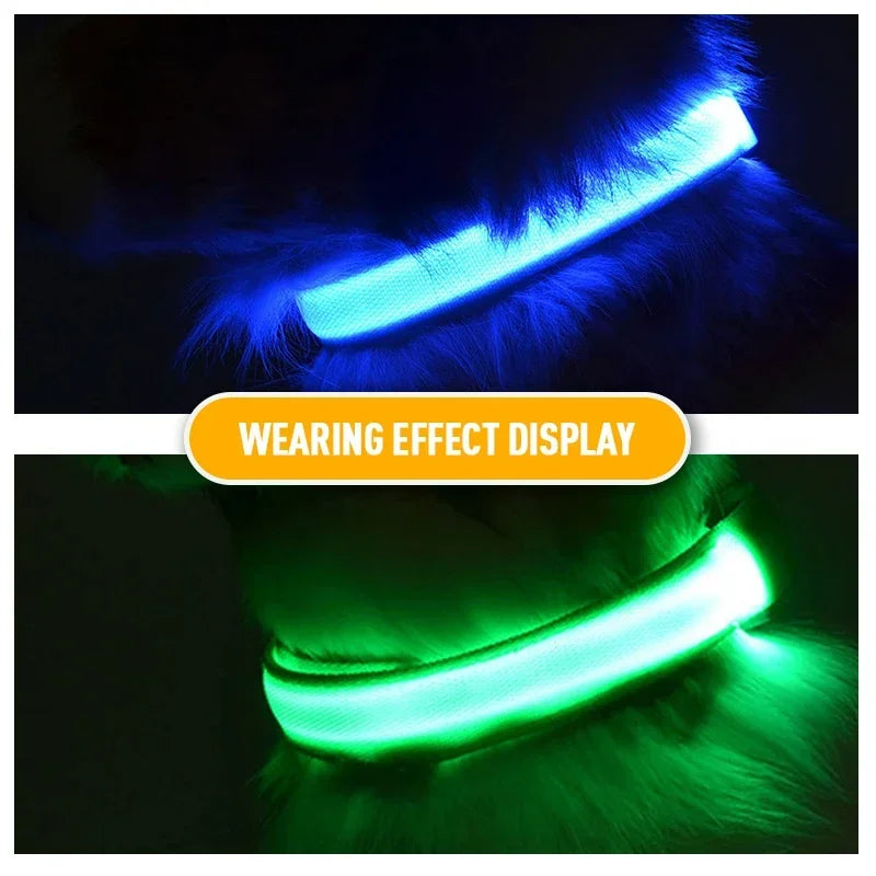 Collar de perro LED con carga USB, luz nocturna de seguridad para perros, Collar intermitente, collares fluorescentes, suministros para mascotas