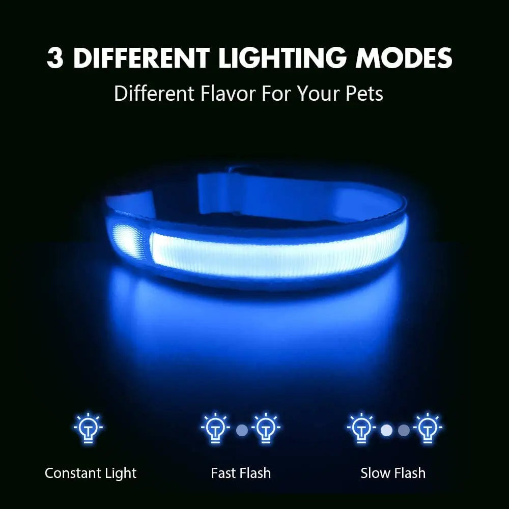 XS/M LED collier de chien USB Rechargeable éclairer collier de chien lumières réglable doux sécurité veilleuse clignotant 3 modes fournitures pour animaux de compagnie