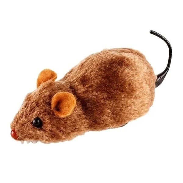 Souris en peluche réaliste et amusante, jouet Rat en cours d'exécution, pour chats, chiens, queue, animaux de compagnie, enfants, couleur aléatoire, 1 pièce