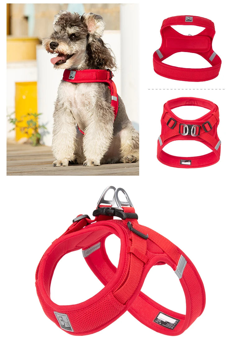 Portabebés para perros pequeños, hebilla en D de aluminio, gancho para caminar y bucle, accesorios portátiles para ponerse y quitarse