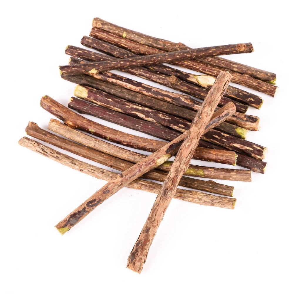 Silvervine Sticks para gatos Natural Catnip Chew Sticks Dientes Molar Masticar Juguetes para Gato Gatito Regalos