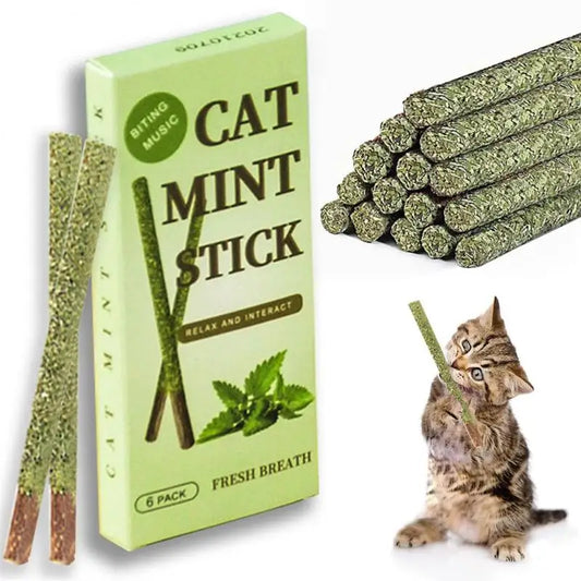 Bâtonnets de chat Matatabi naturels, 6 pièces, morsure de menthe, tiges excitées, vigne argentée pour le nettoyage des dents de chat, traitement, fournitures pour animaux de compagnie, jouets pour chats