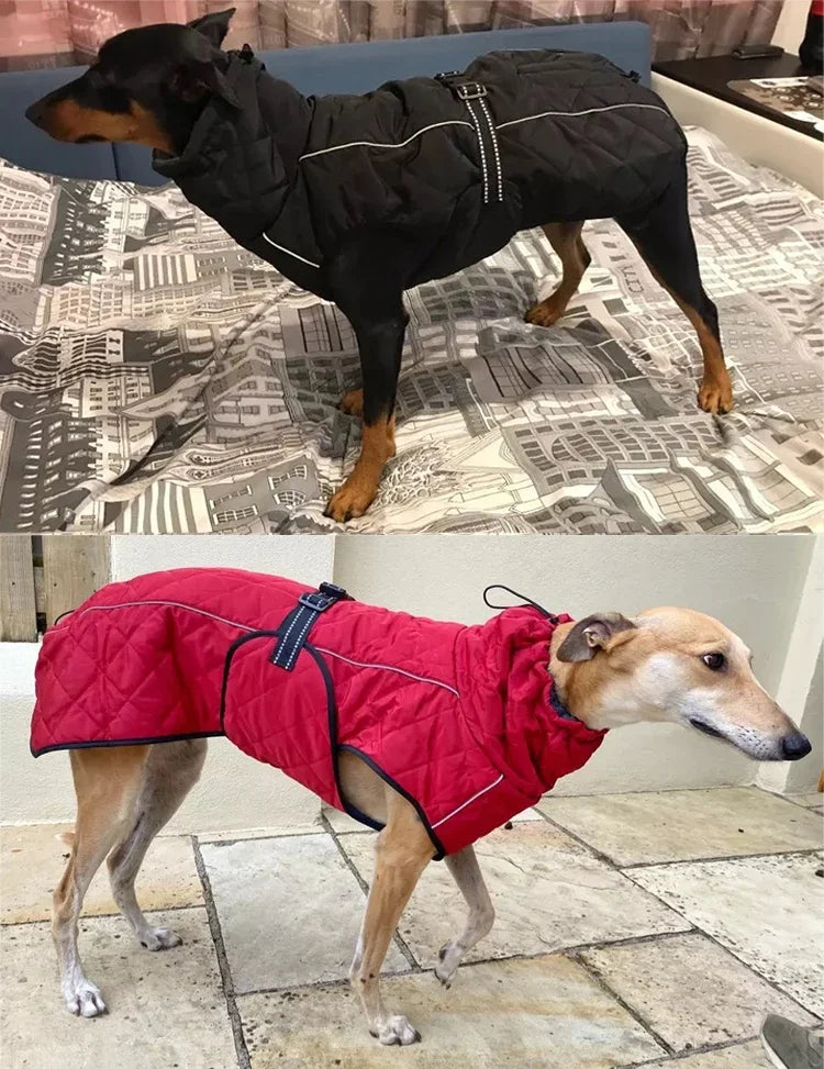 Chaqueta para exteriores para perros, abrigo reflectante impermeable para mascotas, chaleco de invierno cálido de algodón, ropa para perros grandes y medianos, Labrador