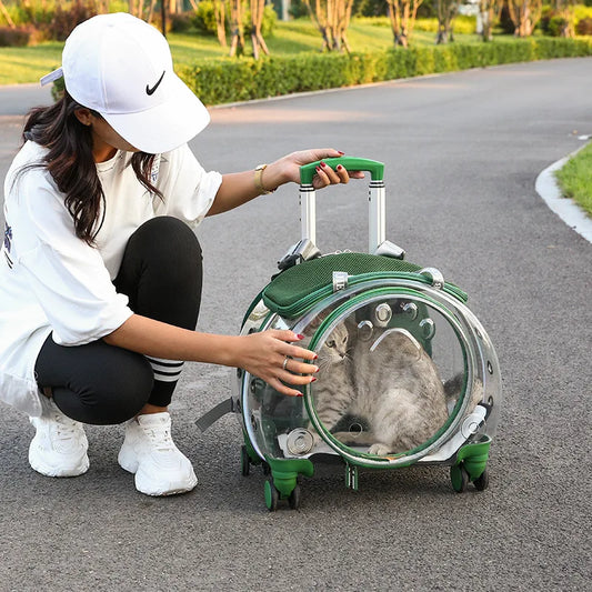 Mochila de equipaje para mascotas, Maleta de aviación portátil transpirable de gran capacidad para exteriores, transportador plegable para gatos