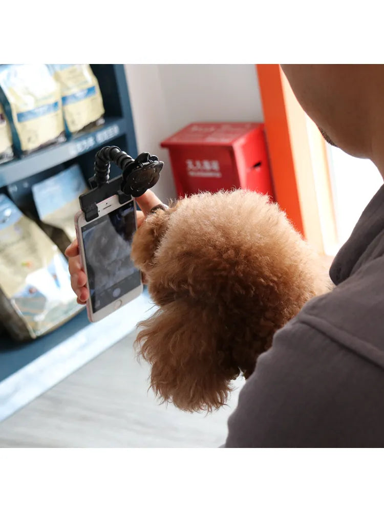 Palo de Selfie para mascotas, herramientas de fotografía para perros y gatos, concentrado de interacción para mascotas, suministros de entrenamiento, accesorios para perros