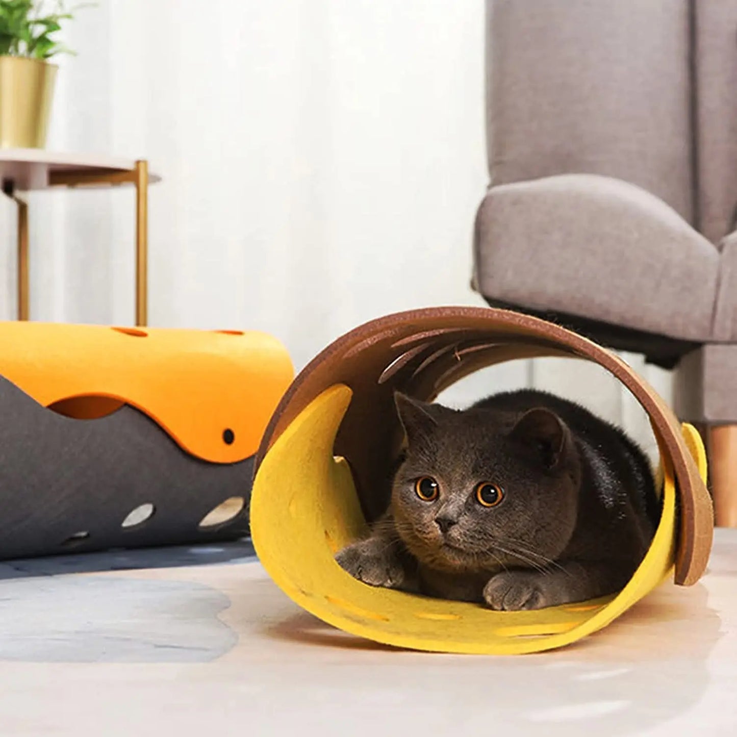 Lit Tunnel pliable pour animaux de compagnie, lit tubulaire avec trous, tapis de jeu pour chats, tapis d'activité, jouet interactif