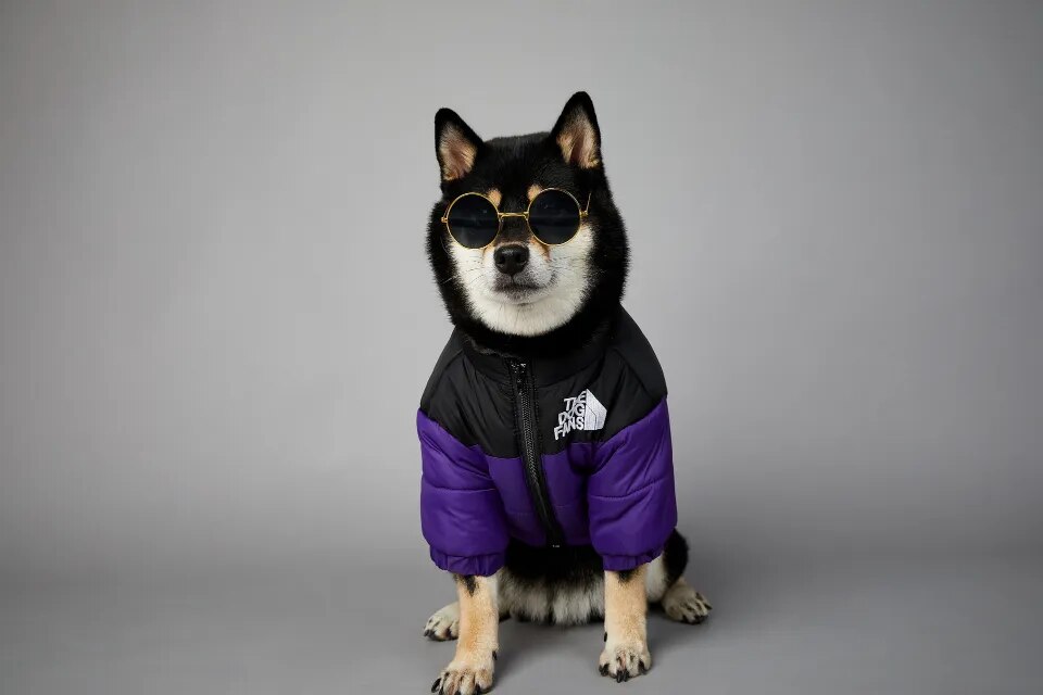 Chaqueta de invierno con cara de perro para perros pequeños y medianos, chaleco grueso y cálido para perros, abrigo para cachorros de Bulldog Francés, estilo de moda