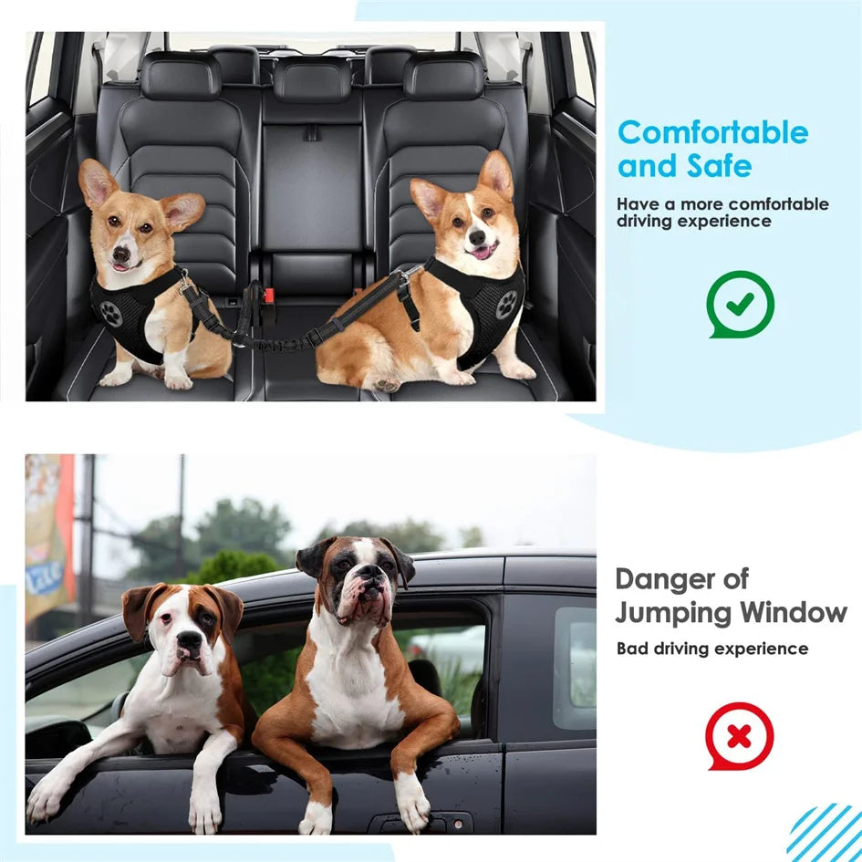 Double Dog Car Seat Belt Elasticity Extention Reflective Stripe Adjustable Vehicle Travel Accessories Safety Leash for Two Pets