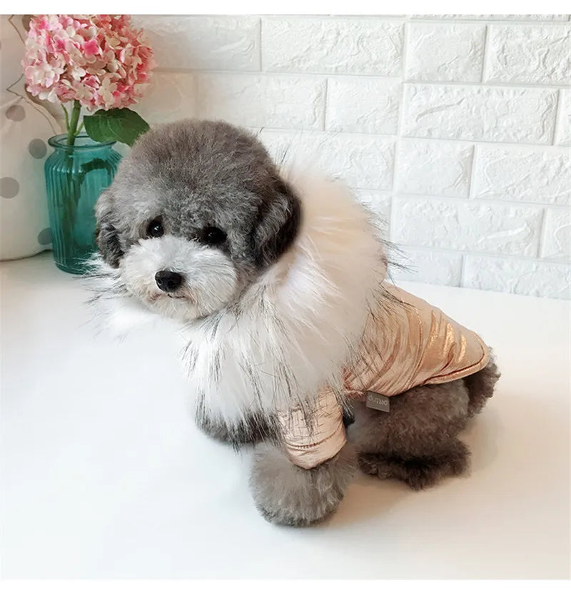 Vêtements d'hiver pour chiens, manteau de luxe avec col en fourrure pour petits chiens, veste bouffante imperméable et anti-saleté pour animaux de compagnie avec capuche amovible pour Yorkies