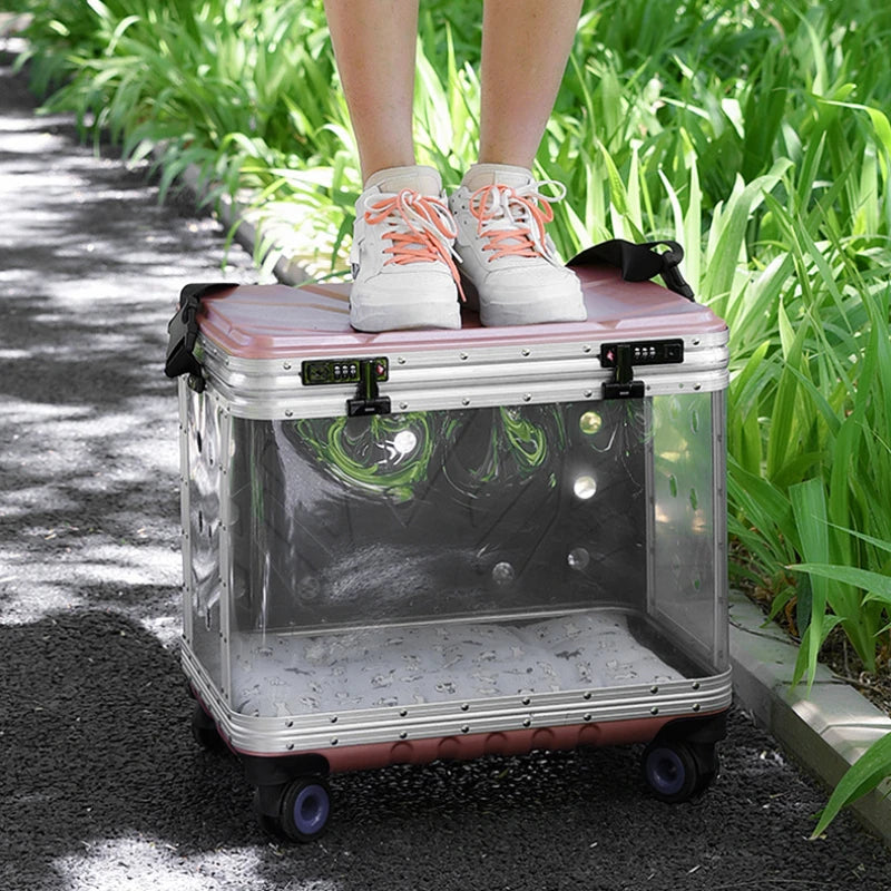 Valise à roulettes pour animaux de compagnie, porte-bulles de sortie Transparent pour chats, sac de transport, sac à dos extensible pour animaux de compagnie, valise, accessoire