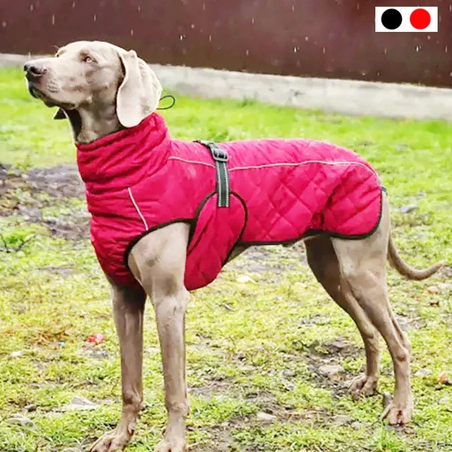 Chaqueta para exteriores para perros, abrigo reflectante impermeable para mascotas, chaleco de invierno cálido de algodón, ropa para perros grandes y medianos, Labrador