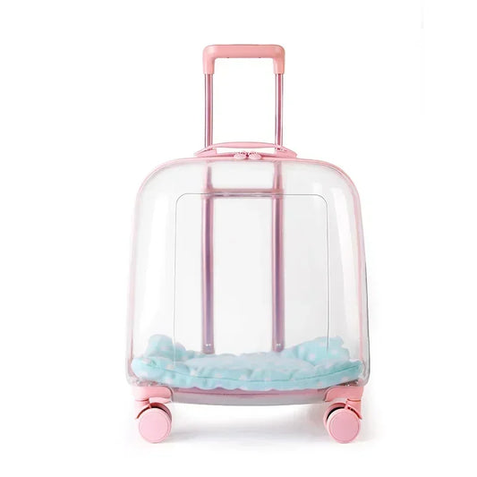 Mochila transparente para mascotas, bolsa transportadora para gatos, cápsula portátil, bolsa transportadora para mascotas