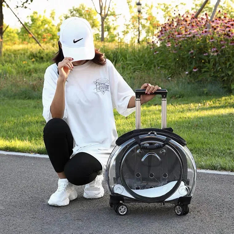 Mochila de equipaje para mascotas, Maleta de aviación portátil transpirable de gran capacidad para exteriores, transportador plegable para gatos